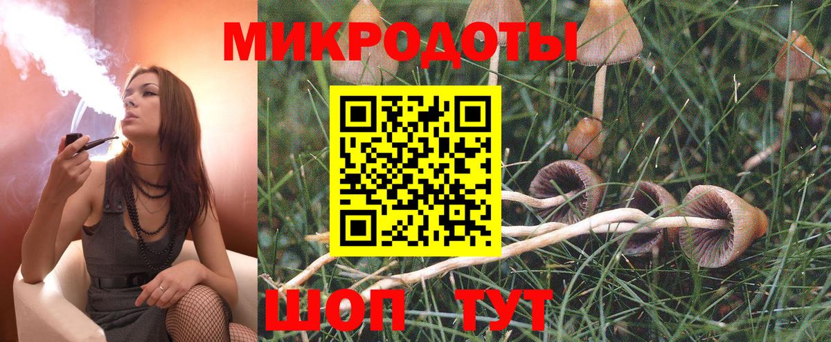 Галлюциногенные грибы Psilocybine cubensis  Вход с VPN  Шадринск 