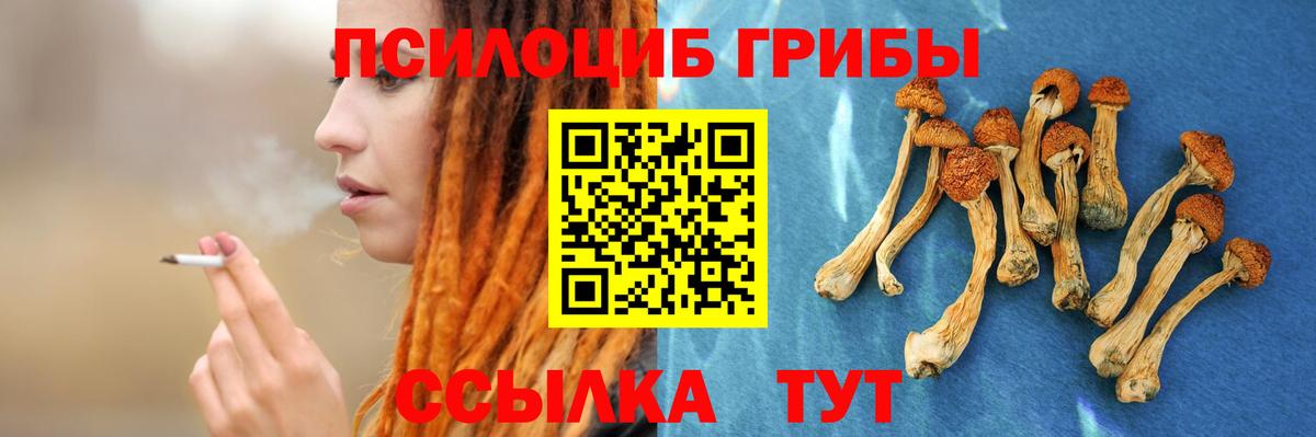 Псилоцибиновые грибы Magic Shrooms Шадринск